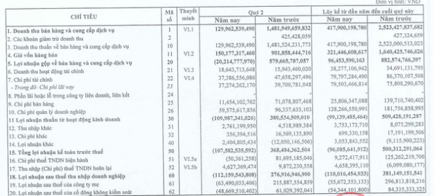 CEO Group ghi nhận lỗ sau thuế 112 tỷ đồng trong quý 2/2020 - Ảnh 2.