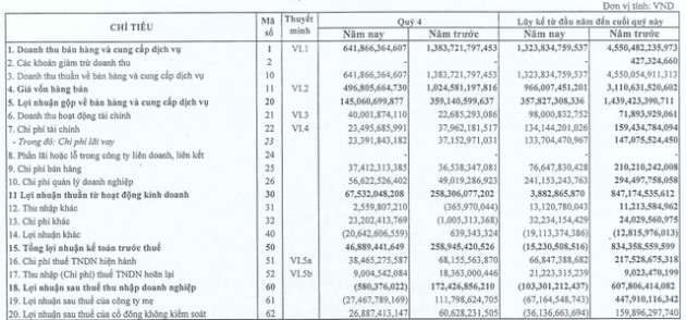 CEO Group lỗ hơn trăm tỷ đồng năm 2020 - Ảnh 1.