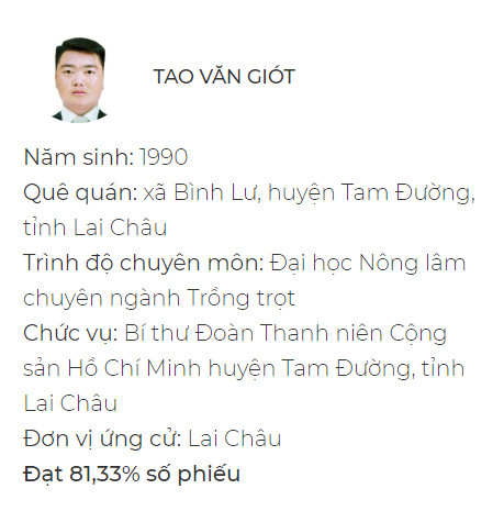 Chân dung 8 đại biểu 9x của Quốc hội khóa XV - Ảnh 1.