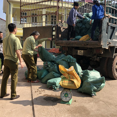 Chặn đứng trên 5.000 kg chân lợn đông lạnh và lòng lợn ướp muối xuất lậu qua biên giới