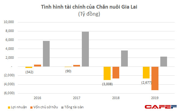 Chăn nuôi Gia Lai: Vốn chủ âm 5.300 tỷ đồng, HAGL sẽ chuyển đổi 5.866 tỷ nợ vay, phải thu sang cổ phần - Ảnh 2.