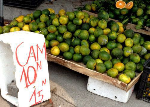 Chanh tăng giá sốc sau khi chặt cây làm... củi - Ảnh 1.