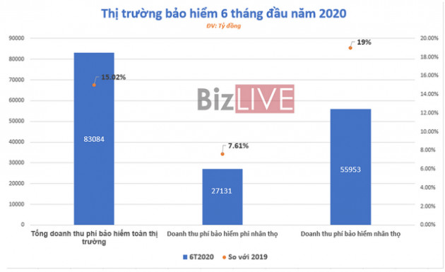 [Chart] Bức tranh thị trường bảo hiểm Việt Nam 6 tháng đầu năm - Ảnh 1.