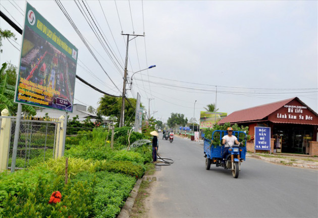 Chạy “nước rút” cho mùa hoa Tết - Ảnh 1.