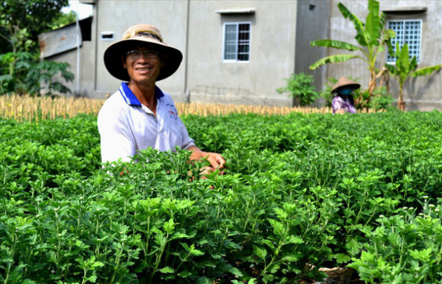 Chạy “nước rút” cho mùa hoa Tết - Ảnh 2.