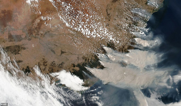 Cháy rừng ở Australia: Mưa lớn đã xuất hiện, trở thành vị cứu tinh cho lính cứu hoả! - Ảnh 2.