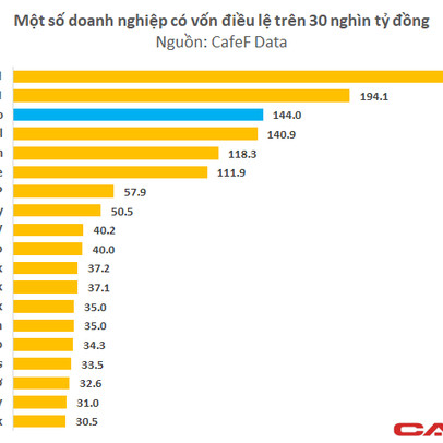 Chế tài nào dành cho USC Interco nếu việc đăng ký vốn điều lệ 144.000 tỷ đồng chỉ là "chơi trội"?