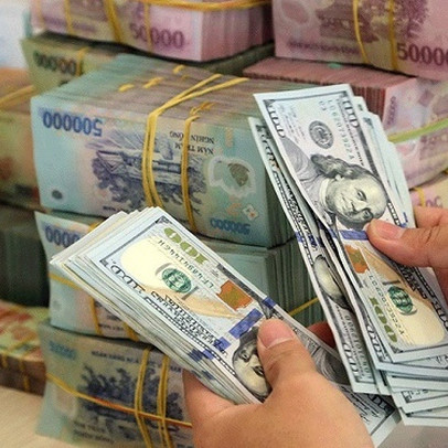 Chênh lệch tỷ giá bào mòn lợi nhuận nhiều doanh nghiệp trong quý II như thế nào?