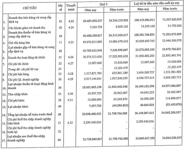 Chi phí bào mòn lợi nhuận, Thủy sản Việt Nam (SEA) báo lãi ròng quý 2 chỉ tăng nhẹ 4% dù doanh thu gấp 2,3 lần cùng kỳ - Ảnh 1.