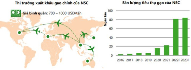 Chi phí đầu vào hạ nhiệt, một nhóm ngành sẽ được hưởng lợi từ xu hướng giá tăng trong năm 2023 - Ảnh 3.