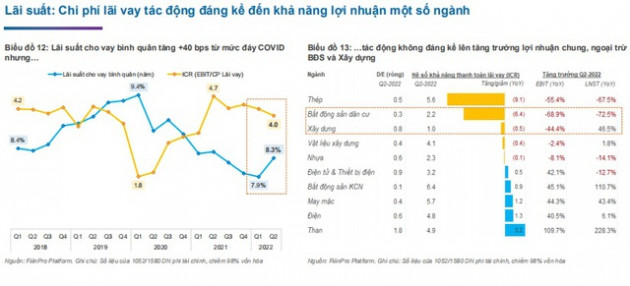 Chi phí lãi vay tác động lợi nhuận một số ngành nửa cuối 2022 - Ảnh 2.