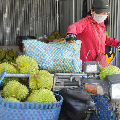 Chi phí logistics 'đè' nông sản ĐBSCL