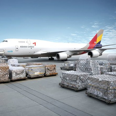 Chính phủ yêu cầu Bộ Giao thông ra báo cáo về hãng hàng không vận tải IPP Air Cargo giữa tháng 7 tới