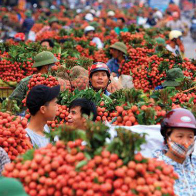 Chính sách thắt chặt nhập khẩu từ Việt Nam của Trung Quốc và lý do có thể ẩn chứa đằng sau