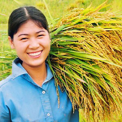 Chính thức ‘cởi trói’ cho xuất khẩu gạo