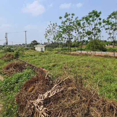 Chớp cơ hội trong cơn sốt đất, từ tay buôn gà phất lên thành đại gia đất ven biển