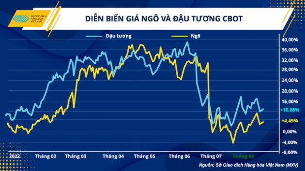 Chu kì biến động của giá nông sản đang mở ra cánh cửa mới cho ngành chăn nuôi - Ảnh 1.