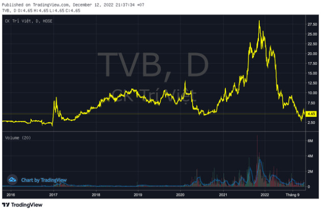 Chủ tịch Chứng khoán Trí Việt bị khởi tố về tội thao túng chứng khoán - Ảnh 1.