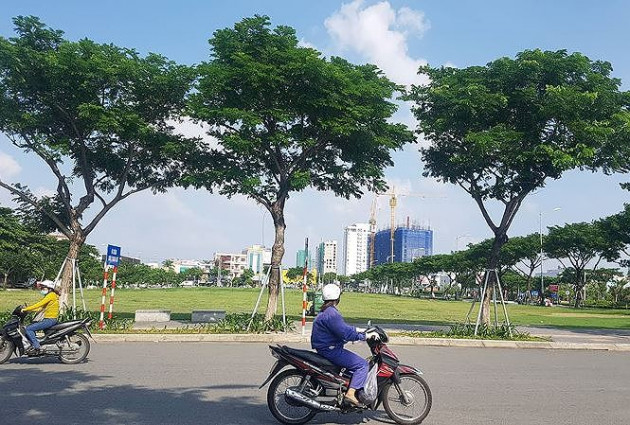 Chủ tịch Đà Nẵng khuyên DN đưa ra tòa vụ hủy đấu giá đất vàng 700 tỷ - Ảnh 1.