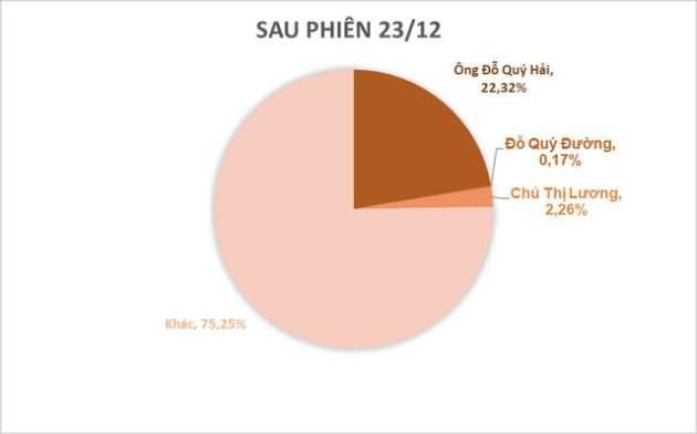 Chủ tịch Hải Phát chưa kịp bán 10 triệu cổ phiếu HPX đã bị CTCK bán giải chấp - Ảnh 2.