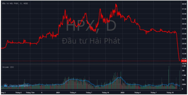 Chủ tịch Phát Đạt và Hải Phát lại bị call margin từ ngày 23/11 - Ảnh 2.