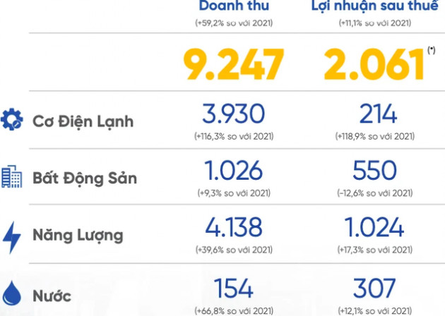 Chủ tịch REE – bà Nguyễn Thị Mai Thanh: Chúng tôi đã có lộ trình gấp đôi vốn hoá và đạt doanh thu mức tỷ USD vào năm 2025 - Ảnh 1.