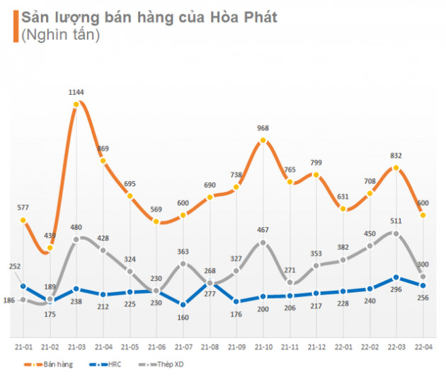 Chủ tịch Trần Đình Long: Đầu tư cổ phiếu Hoà Phát đường dài không thể lỗ - Ảnh 3.