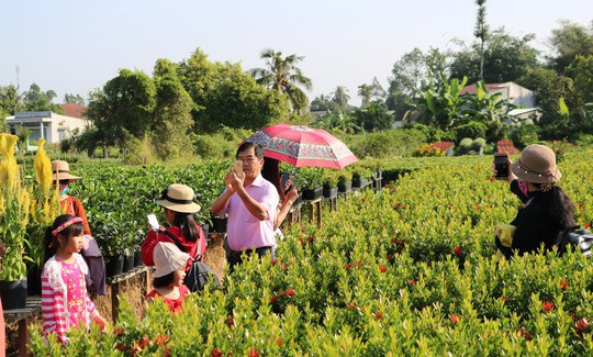 Chưa Tết, làng hoa lớn nhất miền Tây đã nườm nượp khách - Ảnh 10.