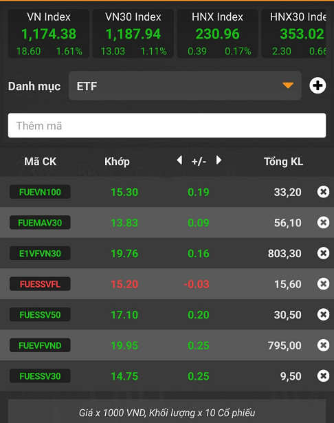 Chứng chỉ ETF, lời giải cho nhà đầu tư không chuyên trước câu hỏi “mua con gì” trên sàn chứng khoán - Ảnh 1.