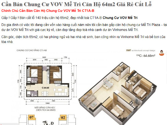 Chung cư Hà Nội bán cắt lỗ hàng trăm triệu, nên mua luôn hay chờ giảm tiếp? - Ảnh 1.