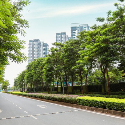 Chung cư sở hữu hệ sinh thái xanh tại Thủ đô