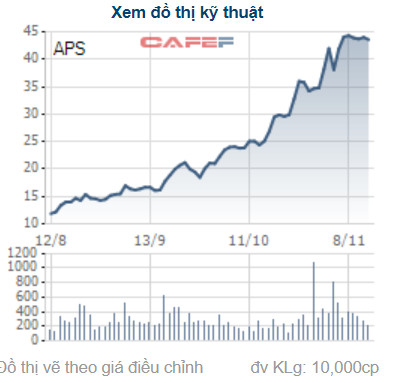 Chứng khoán APEC (APS): Lợi nhuận 10 tháng vượt 502% kế hoạch cả năm 2021 - Ảnh 2.
