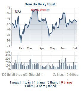 Chứng khoán Bản Việt (VCSC) mua thêm hơn 9 triệu cổ phiếu HDG, trở thành cổ đông lớn của Tập đoàn Hà Đô - Ảnh 1.