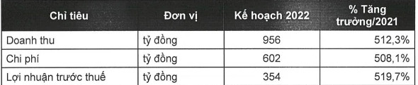 Chứng khoán DNSE đặt mục tiêu lãi tăng gấp 5 lần, lên kế hoạch niêm yết trong năm 2022 - Ảnh 1.