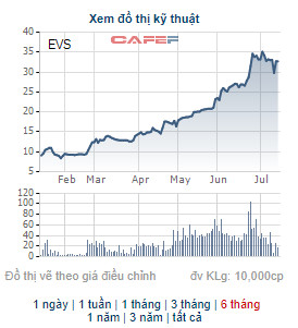 Chứng khoán Everest (EVS) báo lãi 178 tỷ đồng trong 6 tháng đầu năm, gấp 47 lần cùng kỳ - Ảnh 2.