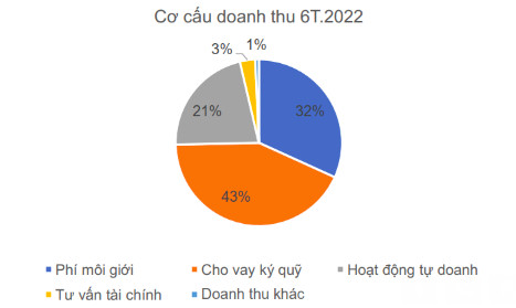 Chứng khoán HSC: Giảm đáng kể giá trị tự doanh, nửa đầu năm lợi nhuận giảm 7% còn 702 tỷ đồng - Ảnh 2.