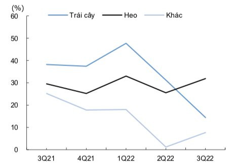 Chứng khoán KIS: Chiến lược kinh doanh Hoàng Anh Gia Lai rõ ràng hơn, quý 4/2022 dự báo tốt nhờ cao điểm Tết - Ảnh 3.