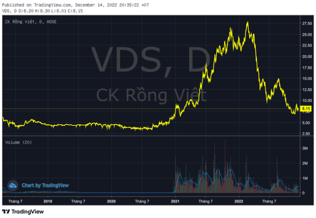 Chứng khoán Rồng Việt (VDS) bị xử phạt do vi phạm trong tư vấn phát hành trái phiếu doanh nghiệp - Ảnh 1.