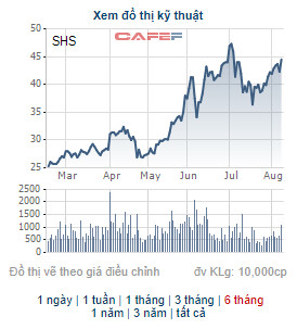 Thị giá 46.000 đồng/cp, Chứng khoán SHS danh sách cổ đông chào bán 103 triệu cổ phiếu giá 13.500 đồng - Ảnh 2.