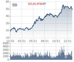 Chứng khoán SSI muốn tiếp tục chào bán 104 triệu cổ phiếu riêng lẻ, nâng vốn điều lệ sát ngưỡng 16.000 tỷ đồng - Ảnh 1.