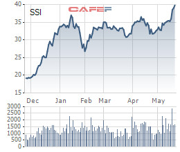 Chứng khoán SSI: Sắp chào bán 1,5 triệu cổ phiếu quỹ cho nhân viên, giá 10.000 đồng/cp - Ảnh 1.
