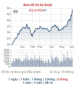 Chứng khoán SSI thông qua phương án phát hành 329 triệu cổ phiếu thưởng và chào bán cho cổ đông hiện hữu - Ảnh 2.