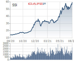 Chứng khoán SSI triển khai phương án phát hành 329 triệu cổ phiếu thưởng và chào bán cho cổ đông hiện hữu, tăng vốn lên 9.860 tỷ đồng - Ảnh 2.