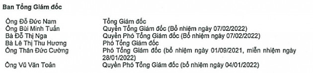 Chứng khoán Trí Việt bổ nhiệm Tổng Giám đốc thay ông Đỗ Đức Nam - Ảnh 1.