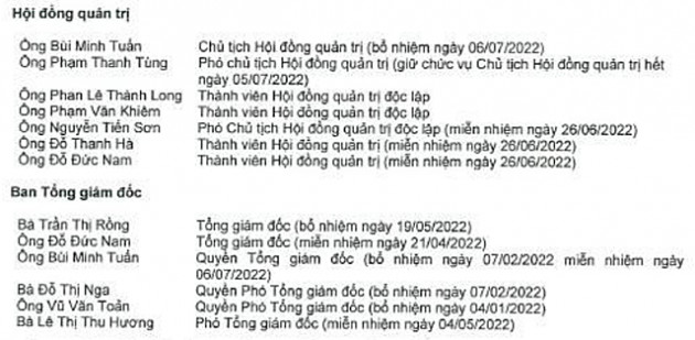 Chứng khoán Trí Việt tiếp tục biến động nhân sự ban Tổng giám đốc - Ảnh 2.