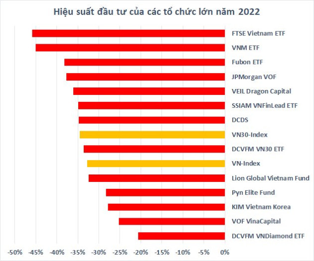 Chứng khoán Việt Nam giảm mạnh trong năm 2022, hàng loạt “cá mập” chìm trong thua lỗ - Ảnh 1.