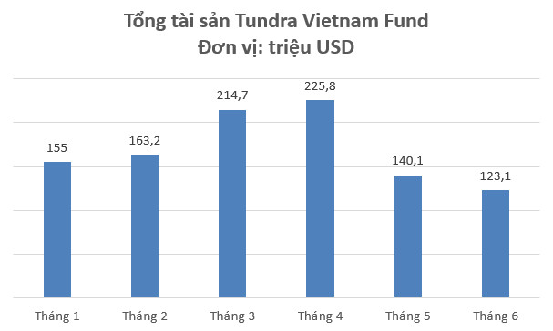 Chứng khoán Việt Nam giảm sâu, quỹ chuyên “đánh game” nâng hạng Tundra Vietnam Fund bay hơi toàn bộ thành quả từ đầu năm - Ảnh 1.