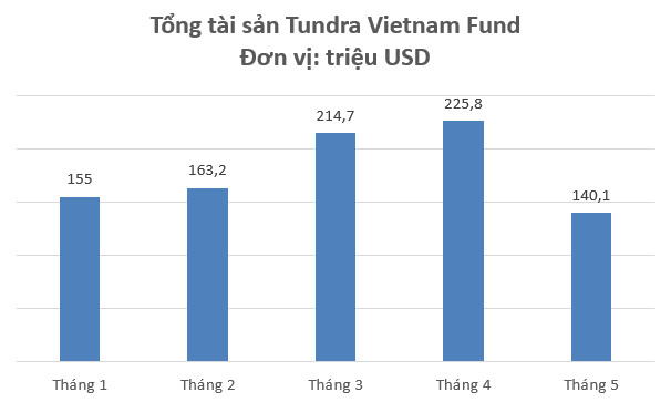 Chứng khoán Việt Nam giảm sâu, tổng tài sản Tundra Vietnam Fund “bay hơi” 38% chỉ sau 1 tháng - Ảnh 1.