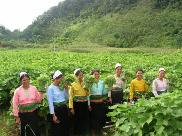 Chuyện anh kỹ sư nông nghiệp khởi nghiệp chuỗi Bác Tôm: Đi nhanh bằng nhượng quyền, chỉ để thuyết phục 1 hộ nông dân mà tuyên bố Ruộng anh chị có gì em mua sạch, mua đến từng quả cà chua luôn - Ảnh 2.