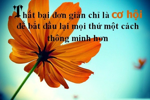 Chuyện cuối tuần: Câu chuyện về vị thương nhân bán bể cá và bài học hãy tự gắn cánh cửa nơi nhà bạn để cơ hội gõ vào - Ảnh 2.